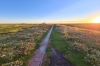 Westerhever Sand - (c) M Mueller.jpg